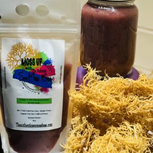 Blueberry Sea Moss Gel | 16oz